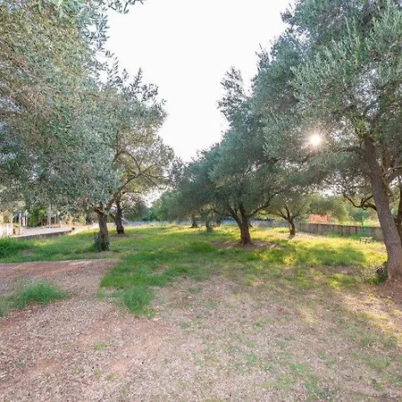 Apartman Barba